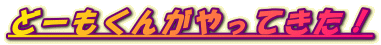 ǁ[񂪂ĂI 